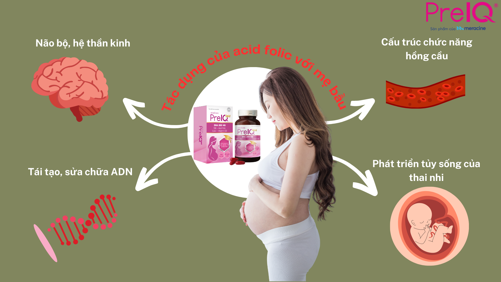 Mẹ bầu uống acid folic giúp não bộ và tủy sống của thai nhi phát triển khỏe mạnh